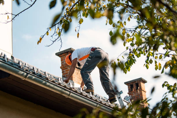 Best Roof Gutter Cleaning  in Fairlea, WV